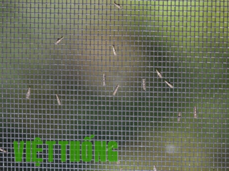 Thông Tin Về Cửa Lưới Chống Muỗi Tự Cuốn Hiện Đại, Tiện Ích