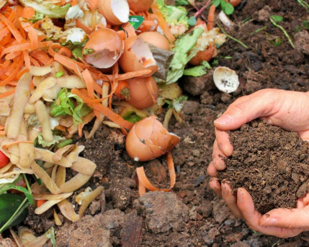 Cách ủ phân hữu cơ từ rác thải sinh hoạt